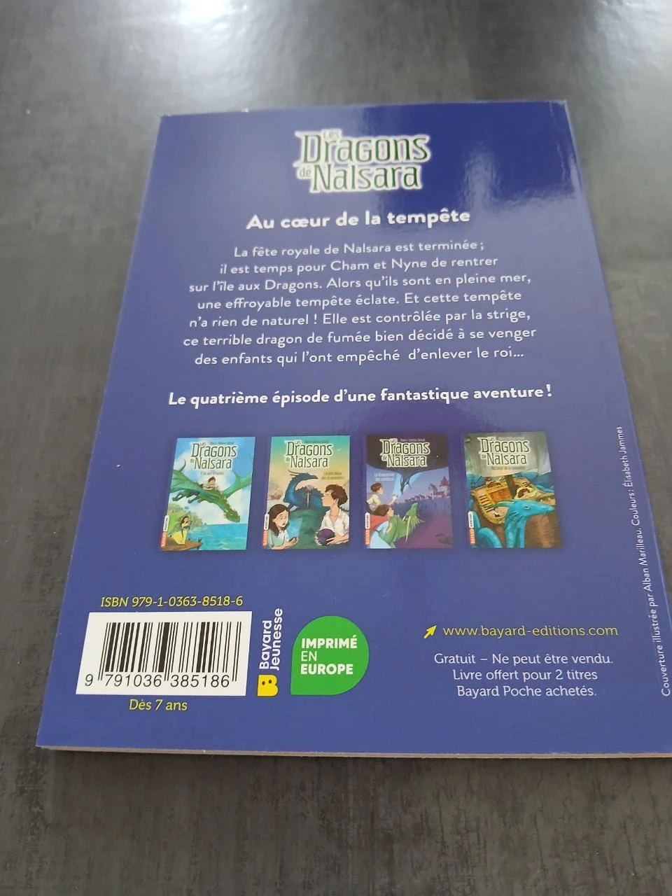 Livrar os dragões de Nalsara, Volume 04: No coração da tempestade dos 7 anos – photo 2